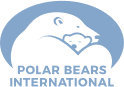 Polar Bear International